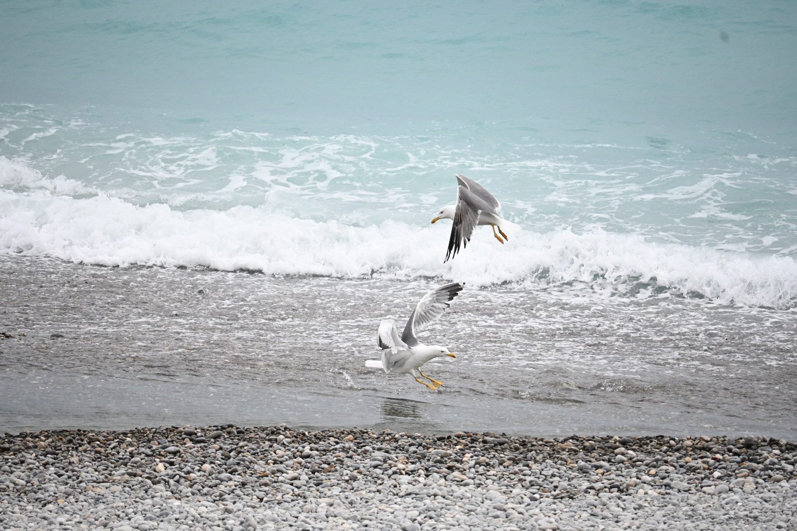 On vole sur la Promenade (des Anglais)